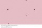Preview: Zielfarbe bei 3mm Stärke