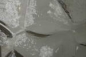 Preview: Ornamentglas Flämisch
