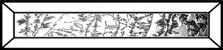 bevel 2x9" Eisblume"