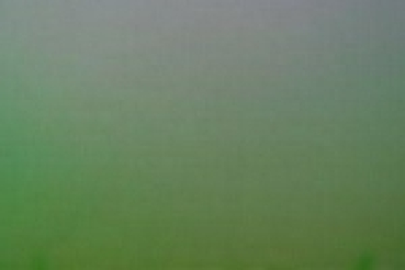 Dichroicglas gelbgrün