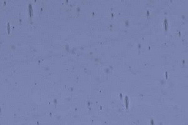 1286xxx violett-blau