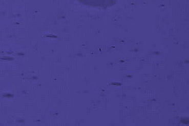 EA-1302F violettblau