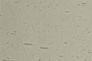1501xx grau Antikglas