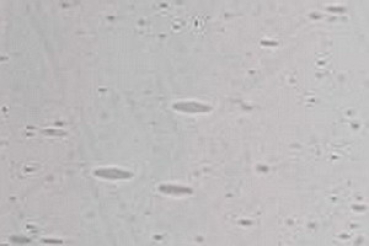1526xx grau Antikglas