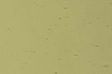 4210 U,opalis,gelbgrün,