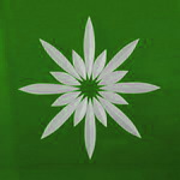 Friesecke stern-16  brün