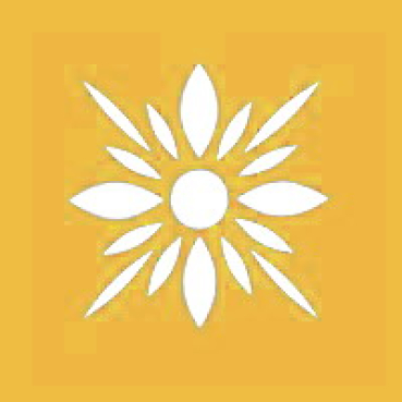 Friesecke blüte gelb