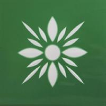 Friesecke blüte grün