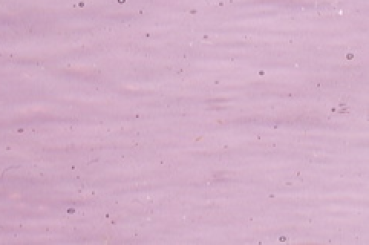 Effetre 3mm, rotviolett