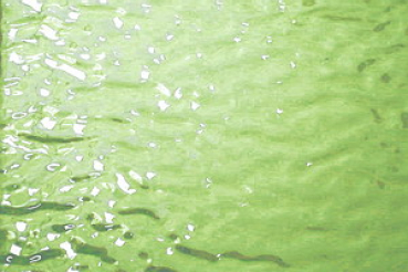 rippelglas,hell-grün,grob,