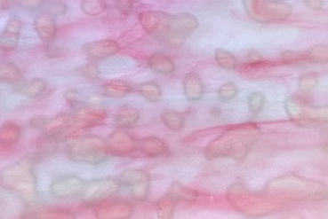 goldrosa soft mottled