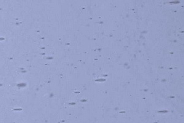 1298xxx violett-blau