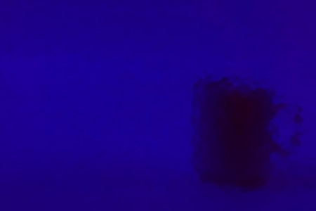 Mystic 329