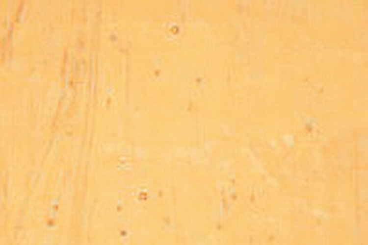 Tischkathedralglas fleisch