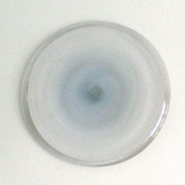 mundgeblasene Butze - blass-blauviolettlich, ca. 12cm