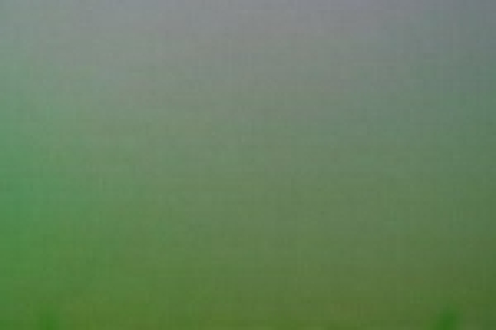 Dichroicglas gelbgrün