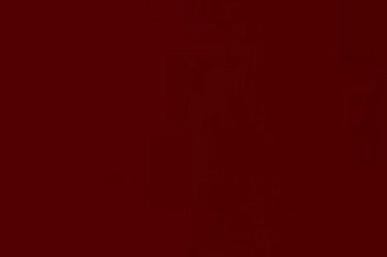 1001U rot dunkel