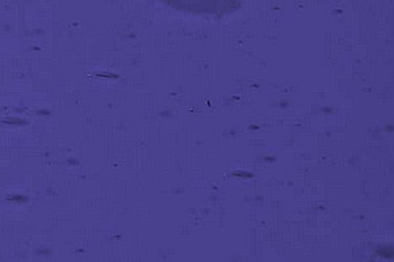 EA-1302F violettblau