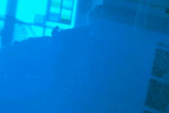 Farbglas marineblau