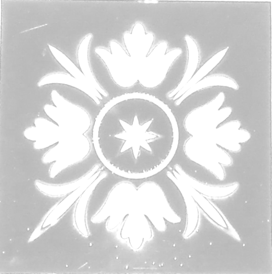 Friesecke Blattreplik farblos