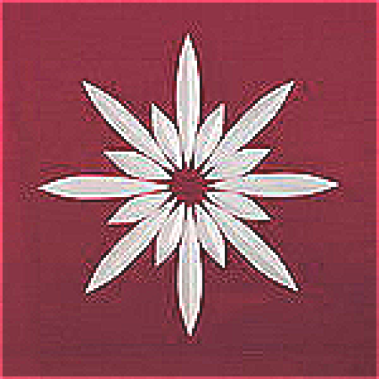 Friesecke stern-16 rot