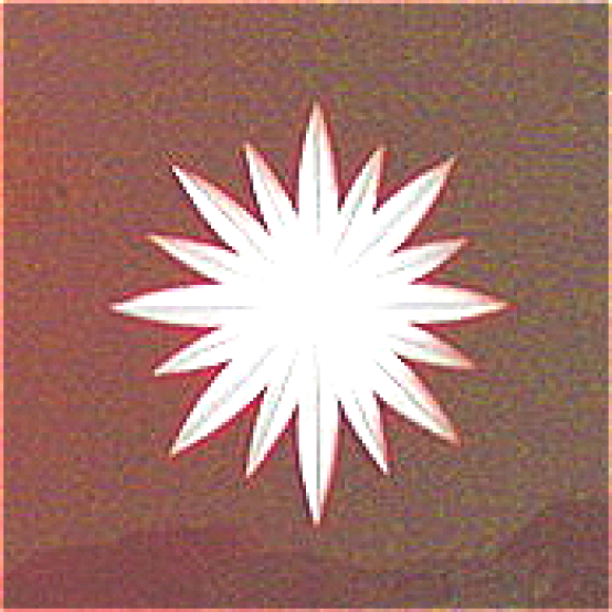 Friesecke Sternreplik rot
