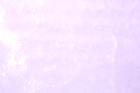 Bullseye Fusingglas 1442, neon, lavender, ungebrannt