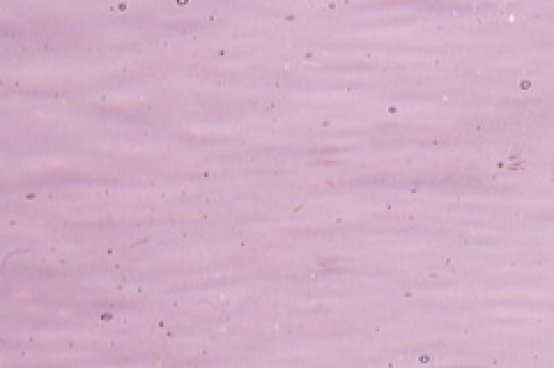 Effetre 3mm, rotviolett