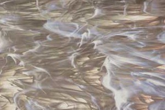 spectrum,glas,818-01,bronce,
