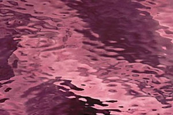 142W-F amethyst Waterglass