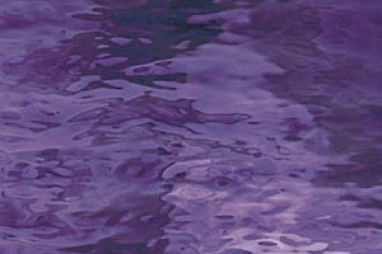 543-2W-F Waterglass, Brombeere,