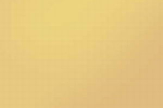 SPECTRUM S-210-72s-f mandelbraun,