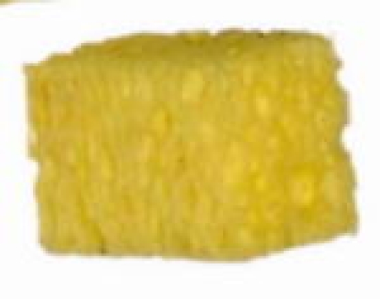 Schwamm, Schwätzchen