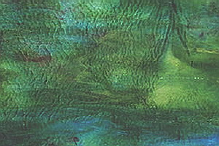 Youghiogheny Y-Water-light SP