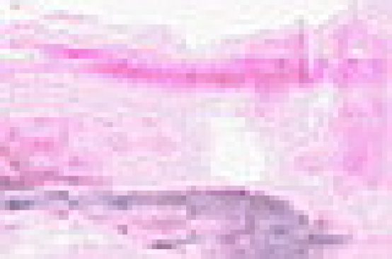 goldpink und violettes colorescentglas,