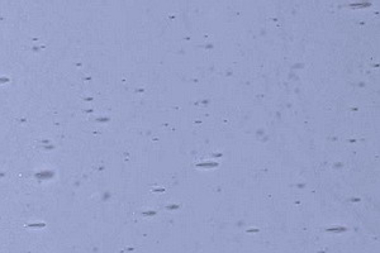 1298xxx violett-blau