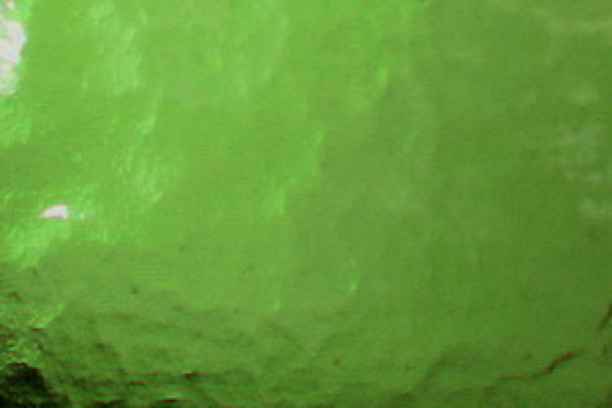 Tischkathedralglas grün