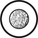 Runder Eisblumenbevel 2