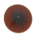 Butze 8cm kohlegelb