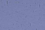 1286xxx violett-blau
