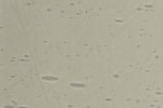 1501xx grau Antikglas