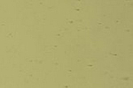 4210 U,opalis,gelbgrün,