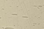 569 grau Antikglas