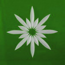 Friesecke stern-16  brün