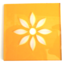Frieseckegelb Stern-Blume