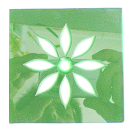 Frieseckegelb Stern-Blume