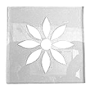Frieseckegelb Stern-Blume klar
