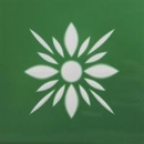 Friesecke blüte grün