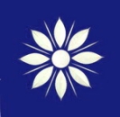 Friesecke margerite blau
