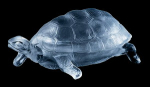 Schildkröte Gefäß